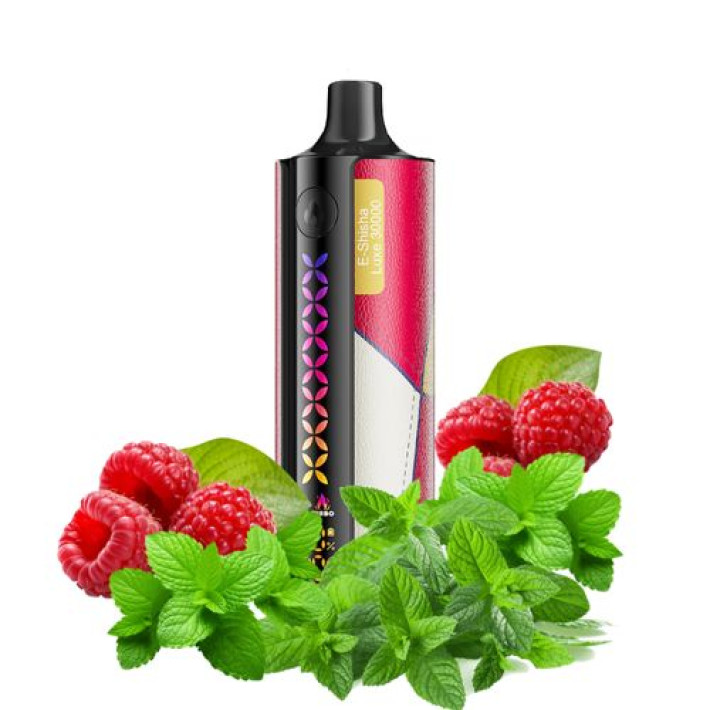 Одноразова електронна сигарета Elf Bar E-Shisha Luxe Raspberry Mint 30000 тяг